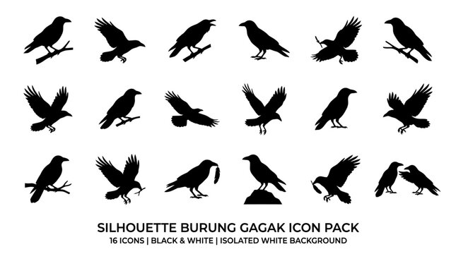 Black Raven Bird Silhouette Collection Diverse Poses and Actions for Design Projects