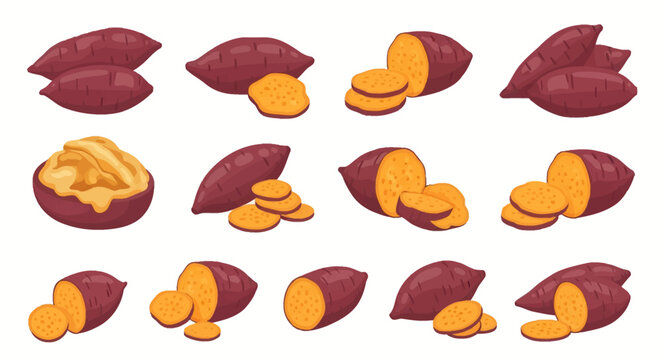Set of vector icons depicting orange sweet potatoes with purple skin in various states, including whole tubers, circular slices, longitudinal halves, and mashed yam in a bowl.