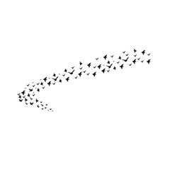 Fototapeta premium Migratory Bird Flock Silhouette Set Isolated on White Background