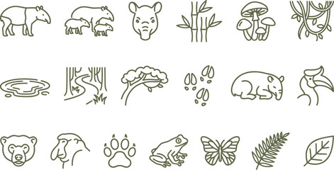 Set of green vector line art icons depicting tropical rainforest animals and exotic jungle flora © Septarim