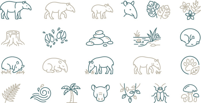 A comprehensive vector graphic illustration featuring various tapir icons and lush tropical rainforest nature elements