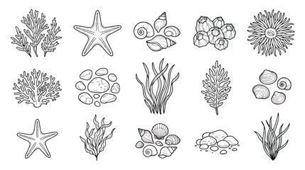 Ocean life line art icons, sea shell and coral vector set, nautical underwater elements for coloring book, black and white starfish and seaweed © Dream Time Studio
