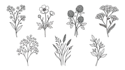 Hand drawn wildflower sketches, black and white botanical line art set of 7 floral vectors, minimalist garden herbs and meadow flowers for wedding stationery © Dream Time Studio
