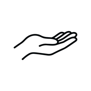 Palm of a human hand.