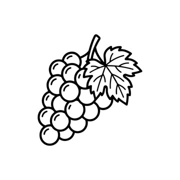 Cute bunch of grapes coloring page. Black and white outline of fresh fruit with leaf for kids coloring book, preschool activities, and KDP interior.