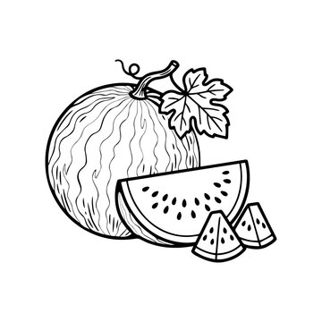 Cute watermelon with slices coloring page. Black and white outline of whole watermelon and juicy slices for kids coloring book, preschool worksheets, and KDP interior.