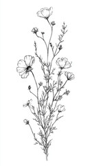 Fototapeta premium Elegant hand drawn ink sketch of a delicate wildflower bouquet.