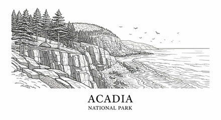 Acadia National Park Coastline Illustration: Rugged Cliffs, Pine Forest, Ocean View