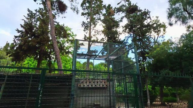 Exotic parrots and colorful tropical birds inside the walk-in aviary at Attica Zoological Park in Athens, Greece of captive wildlife 