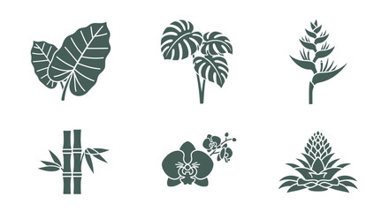 Fototapeta premium Tropical Plant Silhouettes: Monstera, Orchid, Bamboo, and More