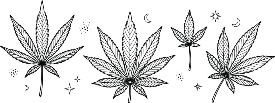 Mystical cannabis leaves horizontal border black outline vector illustration with crescent moons celestial stars isolated on white background