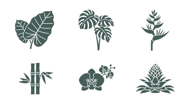 Tropical Plant Silhouettes: Monstera, Orchid, Bamboo, and More