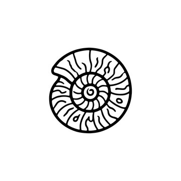 Spiral ammonite fossil coloring page. Black and white outline of prehistoric sea shell for kids coloring book, ancient history worksheets, and KDP interior.