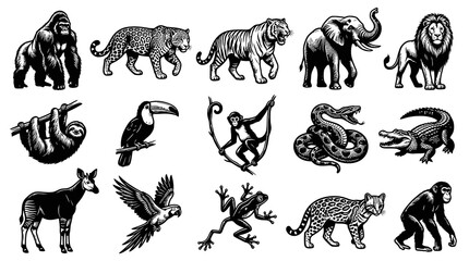 Fototapeta premium Black and White Jungle Animals Vector Set: Gorilla, Tiger, Elephant, Lion, Sloth, Toucan, Monkey, Snake, Crocodile, Okapi, Eagle, Frog, Ocelot