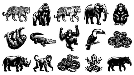 Fototapeta premium Black and White Vector Art of Various Jungle Animals Collection