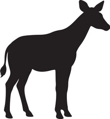 Fototapeta premium Okapi Black Silhouette Vector Rare African Wildlife Animal Illustration