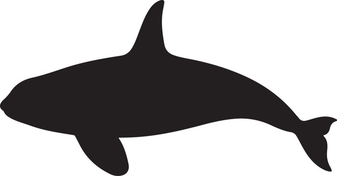Orca Whale Black Silhouette Vector Marine Wildlife Animal Icon