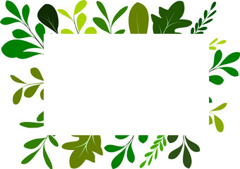 Fototapeta premium Transparent green leaves branches frame border template.