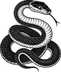 Fototapeta premium Vector illustration of coiled snake symbolizing danger, defense, nature, tension, elegance, and stylized reptile design