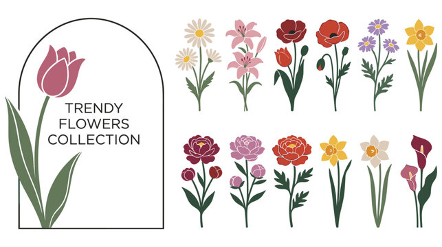 Trendy flowers collection with vibrant spring blooms in various colors.