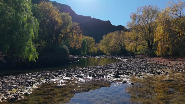 R&iacute;o Atuel flows through Atuel Canyon along Ruta Provincial 173 in San Rafael, Mendoza, Argentina, bordered by riparian woodland, gravel bars and clear freshwater channels, low forward flyover shot.