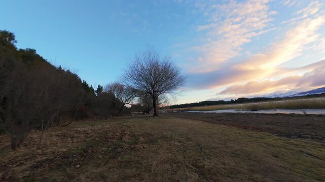 A fast-paced FPV drone video weaving low past bare winter trees and flying along the scenic shoreline of Laguna La Zeta in Esquel.