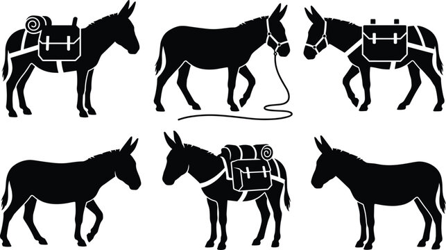 Donkey Silhouette Set with Pack Mules Carrying Bags and Hiking Gear Symbols for Farm Animal Transportation and Mountain Trekking Designs
