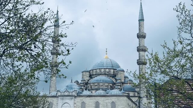 Beautiful view of the historic Blue Mosque framed by green tree branches in Istanbul, Turkey. Majestic 17th century Ottoman architecture landmark, Sultanahmet religious heritage site.