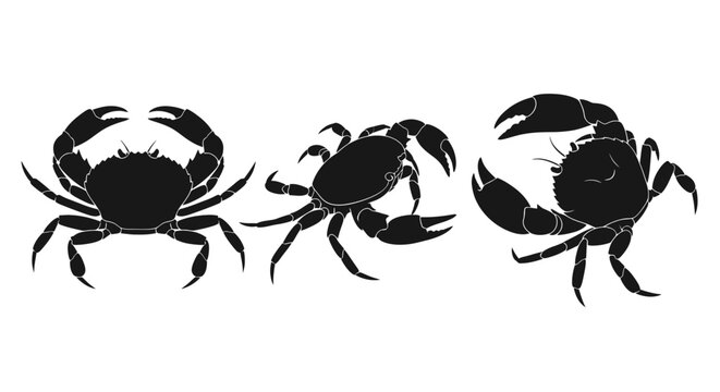 Three black crabs side by side.