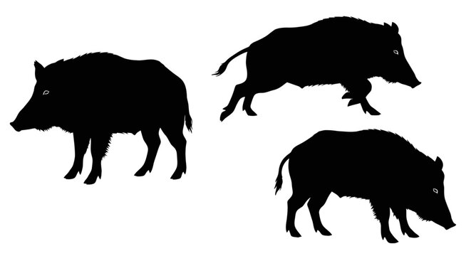 Three black silhouette pigs walking together.