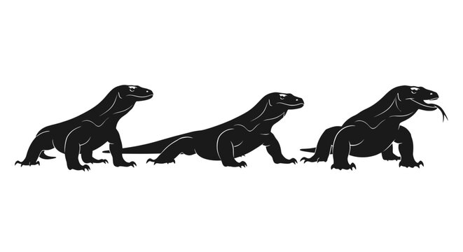 Three Komodo Dragons in Profile.