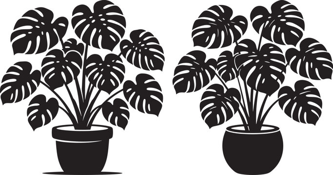 Monstera houseplant in pot silhouette icon with monstera houseplant silhouette background botanical tropical gardening greenery