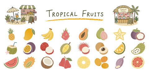 Obraz premium トロピカルフルーツの手描きイラストセット／Tropical Fruits, Hand Drawn Illustration Set 