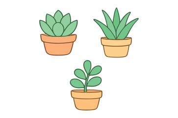 Fototapeta premium Succulents In Terracotta Pots Colorful Vector Illustration