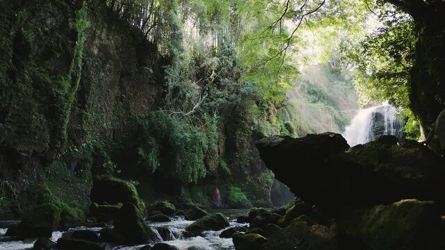 木漏れ日と光芒が降り注ぐ新緑の黄牛の滝 大分