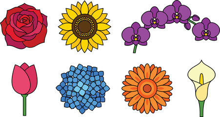 Fototapeta premium Beautiful Garden Flower Blossom Vector Icon Set with Red Rose Yellow Sunflower Purple Orchid Tulip Blue Hydrangea Daisy and Calla Lily Illustrations