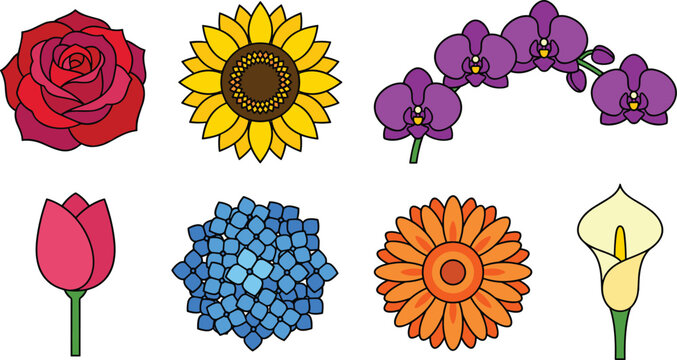 Beautiful Garden Flower Blossom Vector Icon Set with Red Rose Yellow Sunflower Purple Orchid Tulip Blue Hydrangea Daisy and Calla Lily Illustrations