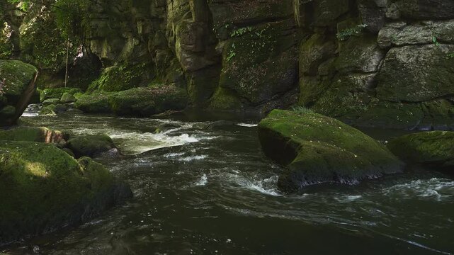 苔むした岩間を激しく流れる新緑の渓流 黄牛の滝 大分