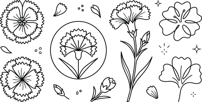 Carnation flower line icon set with dianthus blossoms buds petals and single line art floral vectors