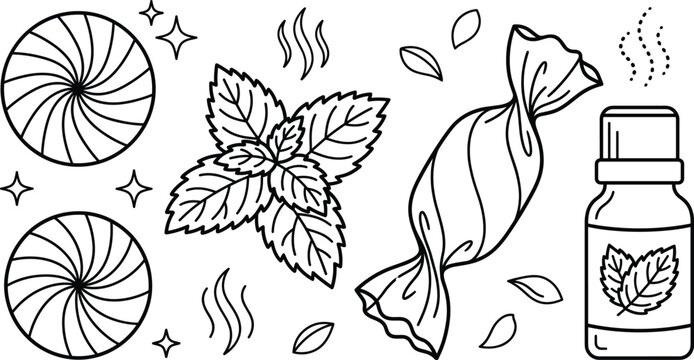 Mint flavor and peppermint candy line icon set with fresh menthol leaves candy wrapper and oil bottle