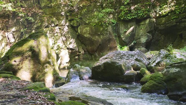 苔むした岩間を激しく流れる新緑の渓流 黄牛の滝 大分