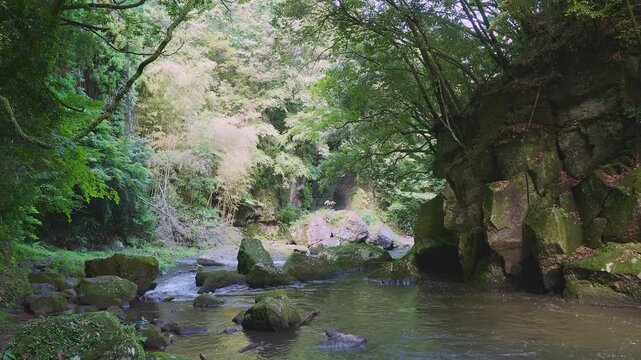 苔むした岩間を激しく流れる新緑の渓流 黄牛の滝 大分