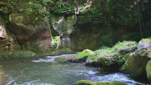 苔むした岩間を激しく流れる新緑の渓流 黄牛の滝 大分