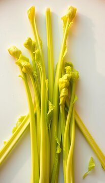 Crisp celtuce stalks arranged in geometric formation, highlighting unique textures,  vegetable,  editorial