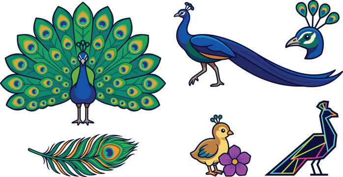 Peacock Vector Icon Set Featuring Full Tail Display, Profile View, Single Feather, Cute Chick, and Geometric Neon Silhouette for Exotic Wildlife Graphic Designs