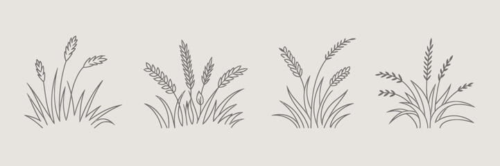 Fototapeta premium Gray Wheat Grass Illustrations on Beige Background