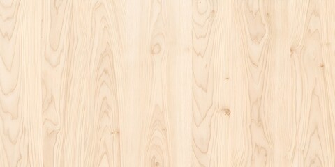 Fototapeta premium Light birch wood grain texture surface background