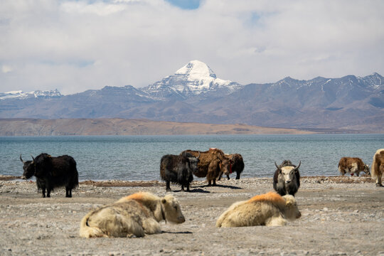 The beautiful Mount Kailash