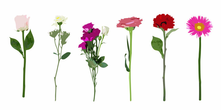 Collection Of Floral Stems Vector Illustration With Varied Bloom Colors