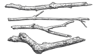 Horizontal Hand Drawn Wood Branches Vector Set, Vintage Engraved Rustic Logs and Twigs for Text Dividers and Nature Frames © Aglonema